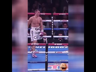 gennady golovkin, saul alvarez, boxing, majority decision.